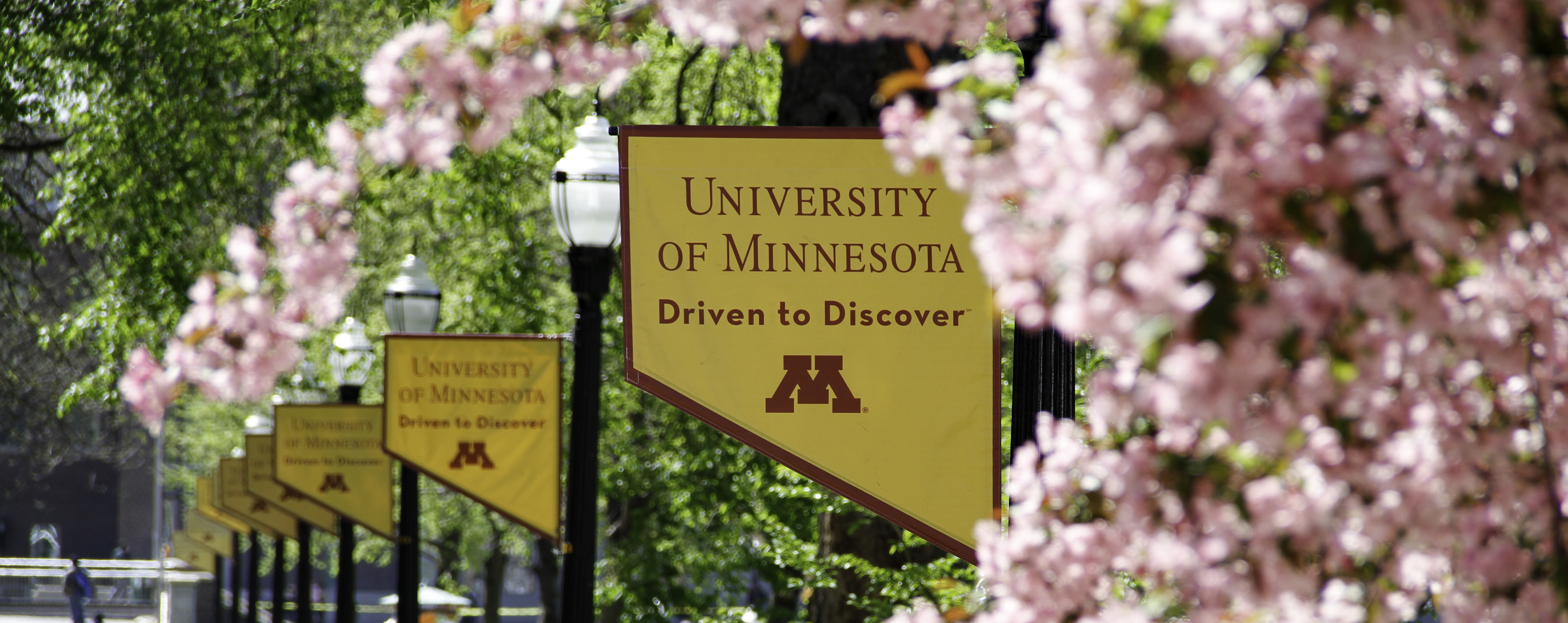 University of Minnesota Banner in flowers image