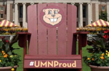 Image of UMN Campus Chair